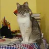 Отзыв от Татьяна Тихонова